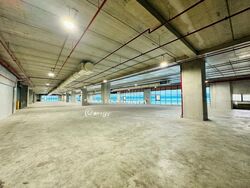 Suites 123 (D8), Warehouse #464418821